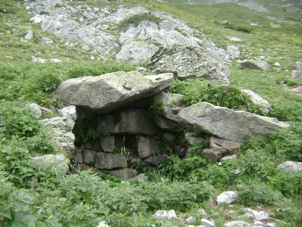 cent mètres plus loin, une borille