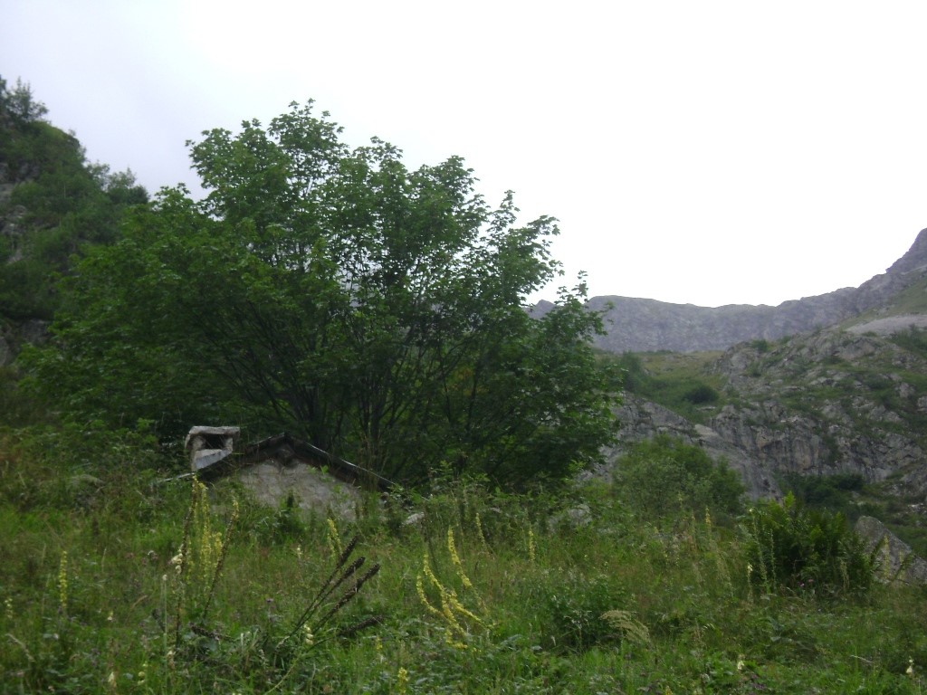 La cabane de berger dans une zone d'étive