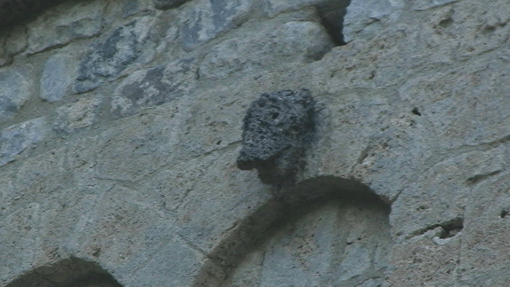 Effigie d’un homme sauvage (ajout tardif, XIXème siècle)